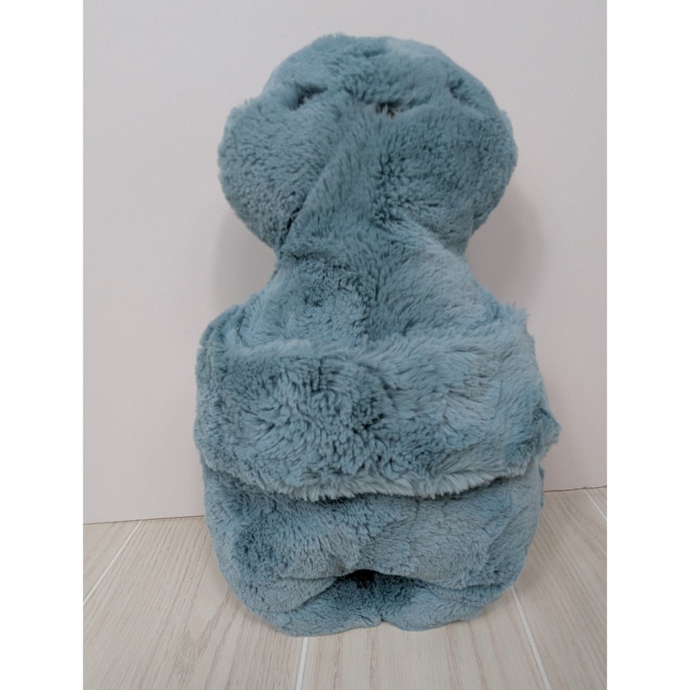 Mystery plush hugging arms Teal blue-green alien monster turtle Pom Bunny Tail